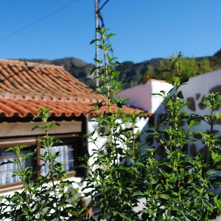 Ilusiones Villa Tejeda  Bagian luar foto