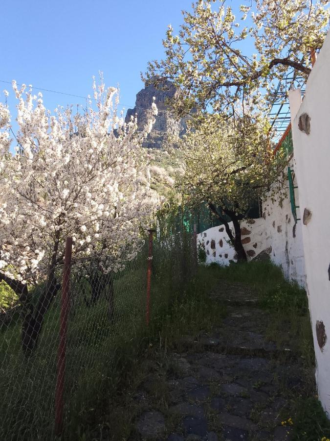 Ilusiones Villa Tejeda  Bagian luar foto
