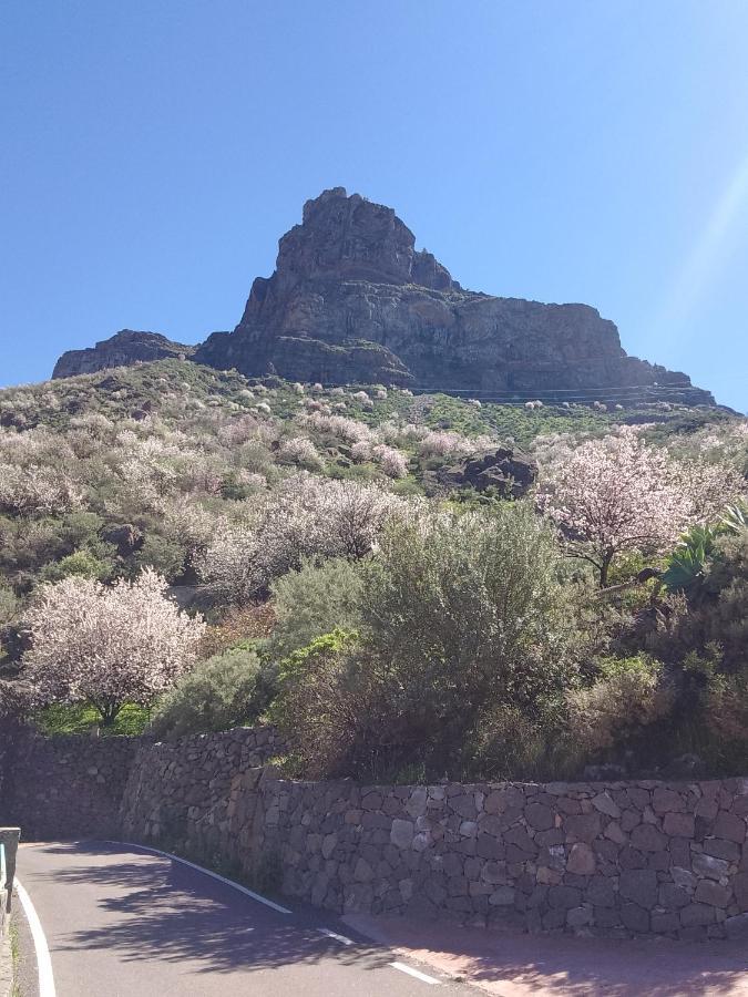 Ilusiones Villa Tejeda  Bagian luar foto