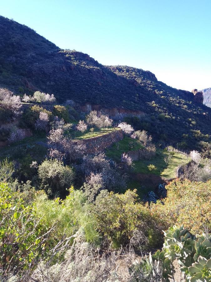 Ilusiones Villa Tejeda  Bagian luar foto