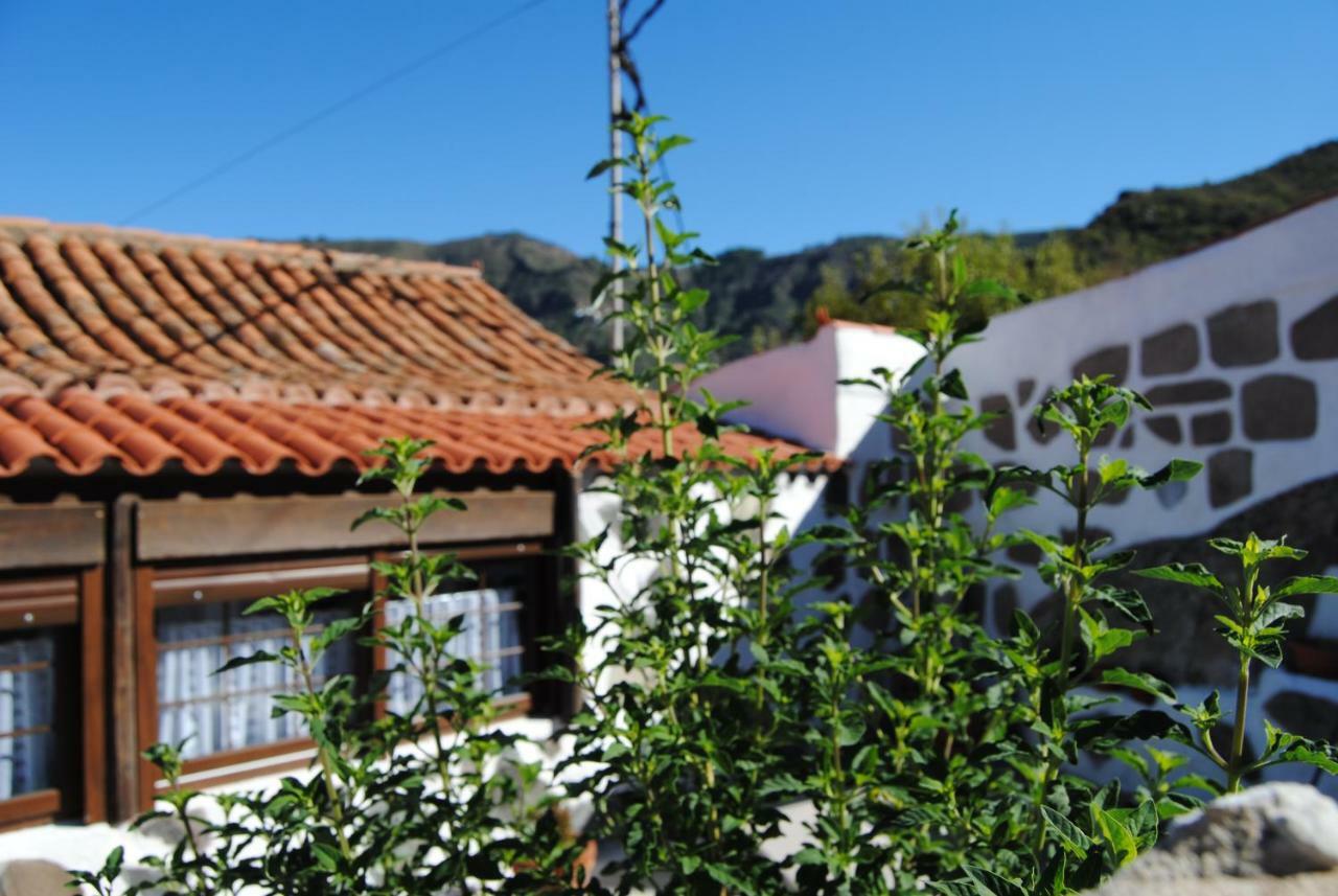 Ilusiones Villa Tejeda  Bagian luar foto